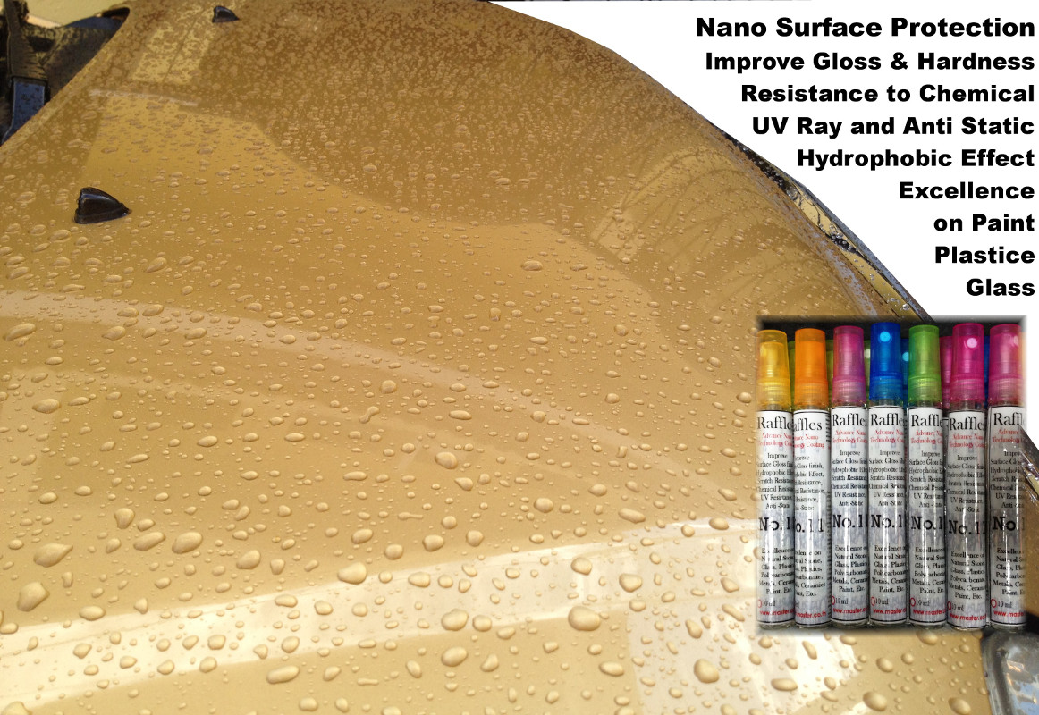 Nano Raffles 11 Nano Raffles 11